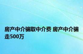 房产中介骗取中介费 房产中介骗走500万 
