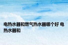 电热水器和燃气热水器哪个好 电热水器和 