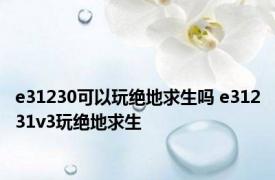 e31230可以玩绝地求生吗 e31231v3玩绝地求生 