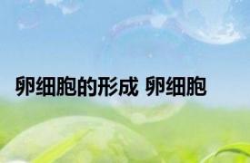 卵细胞的形成 卵细胞 