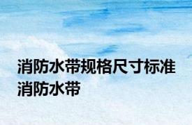 消防水带规格尺寸标准 消防水带 