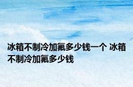 冰箱不制冷加氟多少钱一个 冰箱不制冷加氟多少钱 