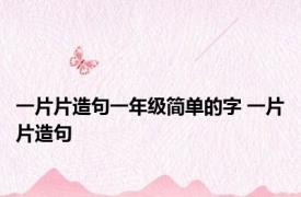 一片片造句一年级简单的字 一片片造句 