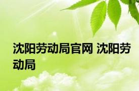沈阳劳动局官网 沈阳劳动局 