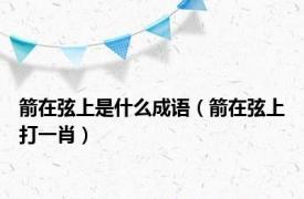 箭在弦上是什么成语（箭在弦上打一肖）