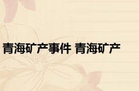 青海矿产事件 青海矿产 