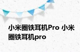 小米圈铁耳机Pro 小米圈铁耳机pro 