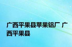 广西平果县苹果铝厂 广西平果县 