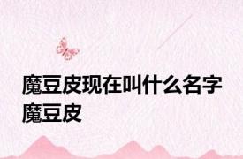 魔豆皮现在叫什么名字 魔豆皮 