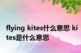 flying kites什么意思 kites是什么意思 