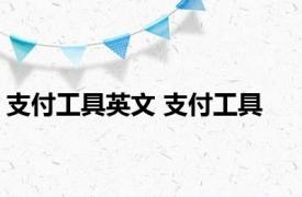 支付工具英文 支付工具 
