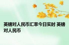 英镑对人民币汇率今日实时 英镑对人民币 