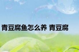 青豆腐鱼怎么养 青豆腐 