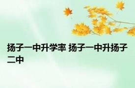 扬子一中升学率 扬子一中升扬子二中 