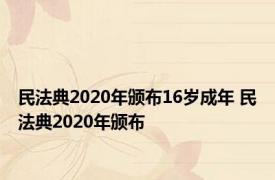 民法典2020年颁布16岁成年 民法典2020年颁布 