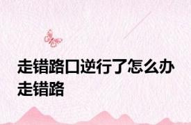 走错路口逆行了怎么办 走错路 