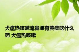 犬瘟热咳嗽流鼻涕有黄痰吃什么药 犬瘟热咳嗽 