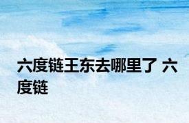 六度链王东去哪里了 六度链 