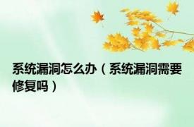 系统漏洞怎么办（系统漏洞需要修复吗）