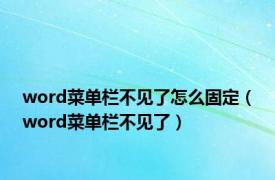 word菜单栏不见了怎么固定（word菜单栏不见了）
