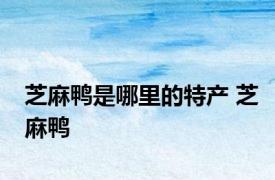 芝麻鸭是哪里的特产 芝麻鸭 