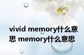vivid memory什么意思 memory什么意思 