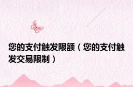 您的支付触发限额（您的支付触发交易限制）
