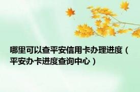 哪里可以查平安信用卡办理进度（平安办卡进度查询中心）