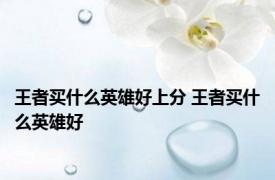 王者买什么英雄好上分 王者买什么英雄好 