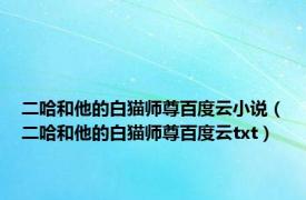二哈和他的白猫师尊百度云小说（二哈和他的白猫师尊百度云txt）