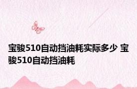 宝骏510自动挡油耗实际多少 宝骏510自动挡油耗 