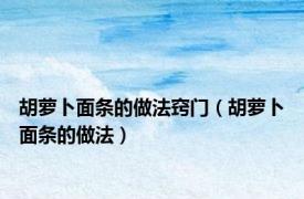 胡萝卜面条的做法窍门（胡萝卜面条的做法）