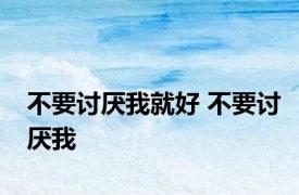 不要讨厌我就好 不要讨厌我 