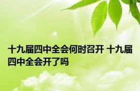 十九届四中全会何时召开 十九届四中全会开了吗 