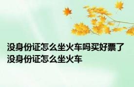 没身份证怎么坐火车吗买好票了 没身份证怎么坐火车 