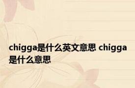 chigga是什么英文意思 chigga是什么意思 