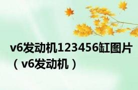 v6发动机123456缸图片（v6发动机）
