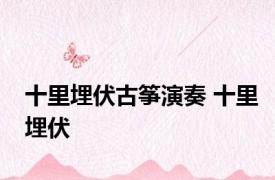 十里埋伏古筝演奏 十里埋伏 
