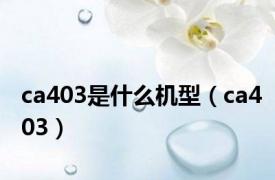 ca403是什么机型（ca403）