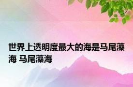 世界上透明度最大的海是马尾藻海 马尾藻海 