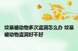 坟墓被动物多次盗洞怎么办 坟墓被动物盗洞好不好 