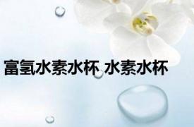 富氢水素水杯 水素水杯 