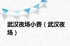 武汉夜场小费（武汉夜场）