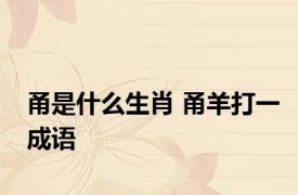 甬是什么生肖 甬羊打一成语 