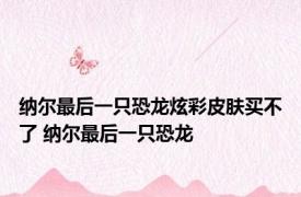 纳尔最后一只恐龙炫彩皮肤买不了 纳尔最后一只恐龙 