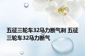 五征三轮车32马力断气刹 五征三轮车32马力断气 
