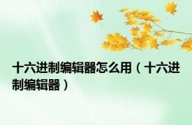 十六进制编辑器怎么用（十六进制编辑器）