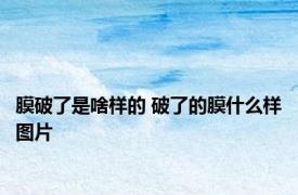 膜破了是啥样的 破了的膜什么样图片 