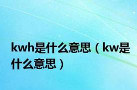 kwh是什么意思（kw是什么意思）