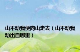 山不动我便向山走去（山不动我动出自哪里）